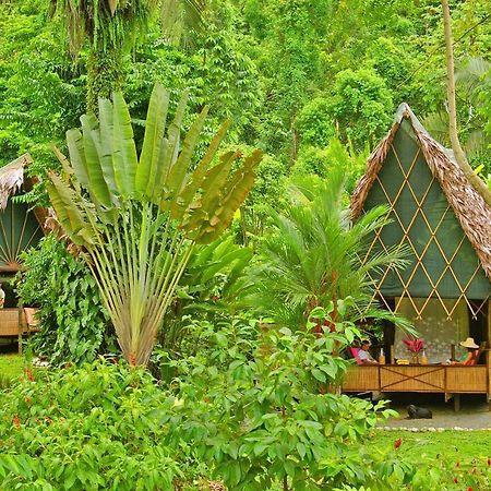 Finca Exotica Eco Lodge Carate Eksteriør billede