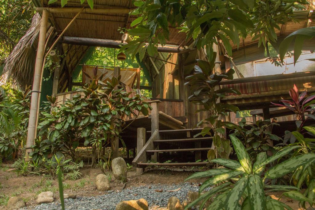 Finca Exotica Eco Lodge Carate Eksteriør billede