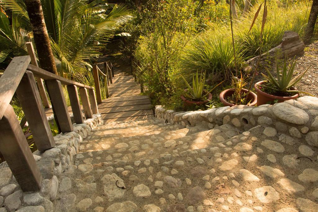 Finca Exotica Eco Lodge Carate Eksteriør billede