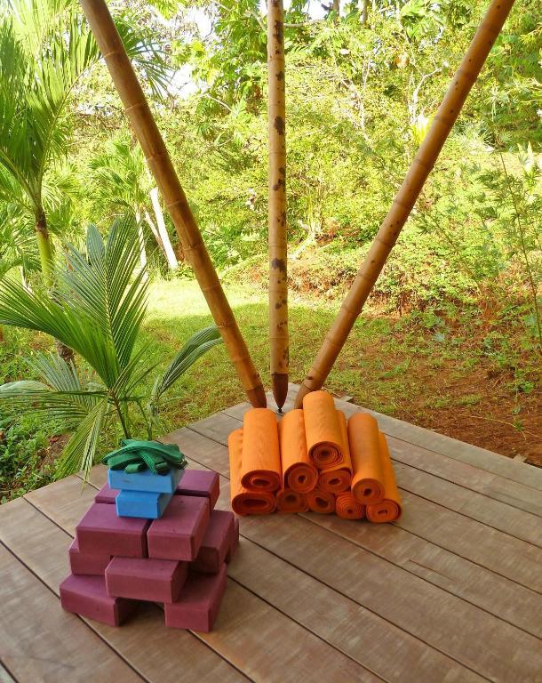 Finca Exotica Eco Lodge Carate Eksteriør billede