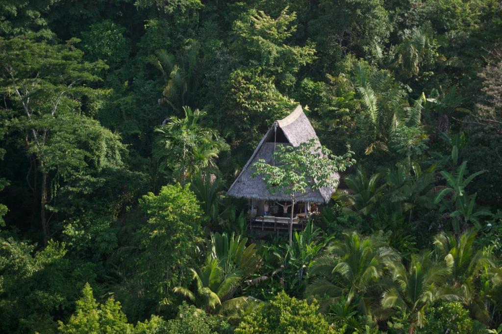 Finca Exotica Eco Lodge Carate Værelse billede