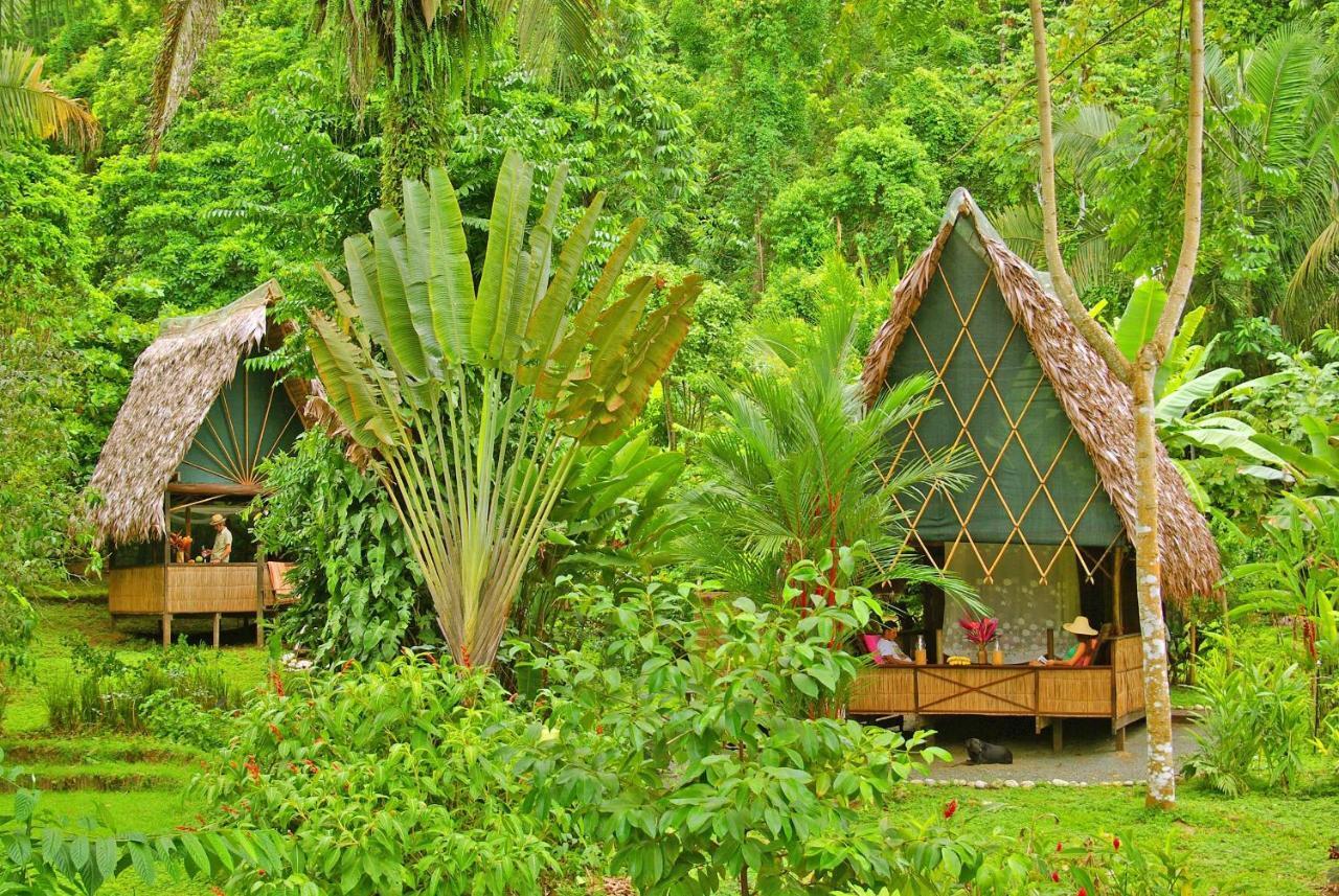Finca Exotica Eco Lodge Carate Eksteriør billede